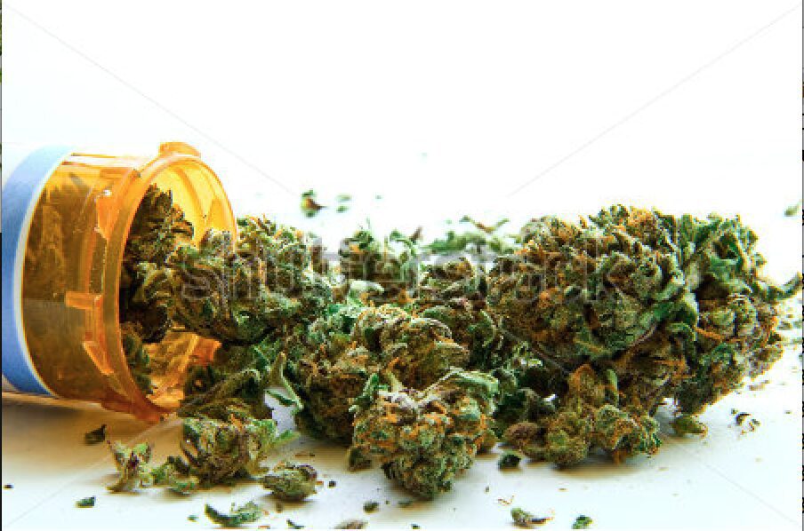 Epilepsy Foundation Event Will Include Medical Marijuana Advocates